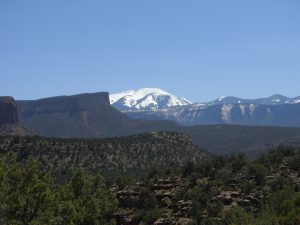 The La Sals in the background with some beautiful canyons in the foreground.