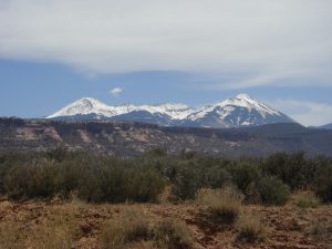 One last view of the La Sals from along Sand Flats Road.