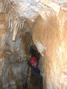 Dave poking out of a passage.