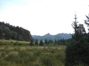 Wow, what a beautiful mountain meadow we're hiking through.