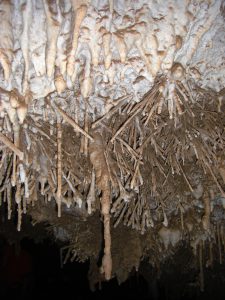 Much of the ceiling in LaSunder is forrested with these crystals. Some are a brilliant white while others a light brown. The abundance is just amazing.