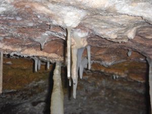 See the water drops on the ends of these stalactites?