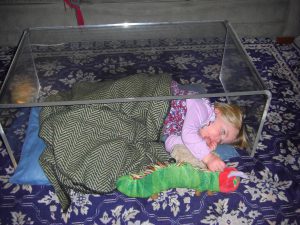 Taking a rest underneath the coffee table.