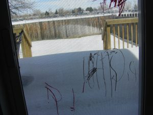 Look carefully to see "Pho" written backward. Normally she writes it forward, so I think it was written for the squirrels that frequent our deck.