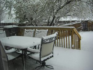 Snow for May Day!