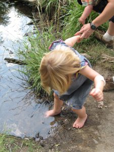 Phoebe tests the water.