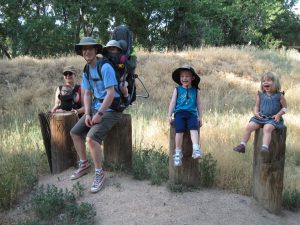 Kids on stumps.