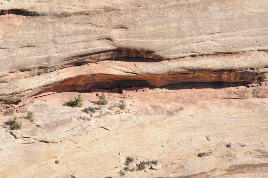 One of the two sets of Anasazi buildings at the Horsecollar Ruins in Natural Bridges National Monument.