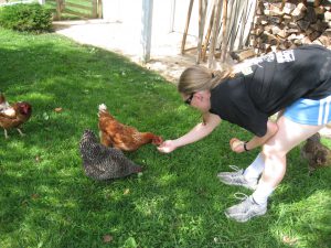 Feeding the chickens.