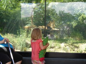 Phoebe and Caterpillar checking out a real lion.