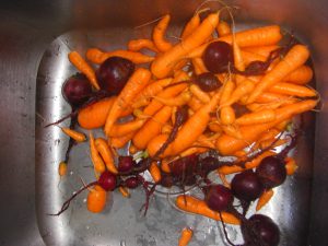 A bounty of garden carrots and beets. (I picked this many a second time later!)