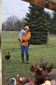 Look, Benjamin! Chickens!