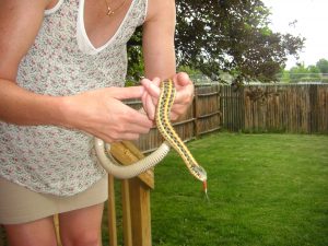 Uncle Matt thought he was cool when he found a snakeskin. Aunt Erin one-upped him!