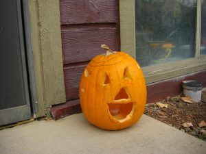 Dog pumpkin