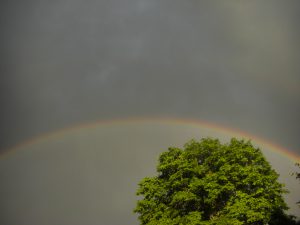 A rainbow right out our front door.