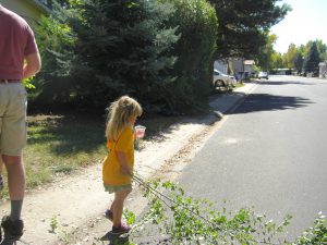 Dragging big branches to the discard pile.