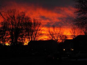 Lovely sunrise from our driveway.